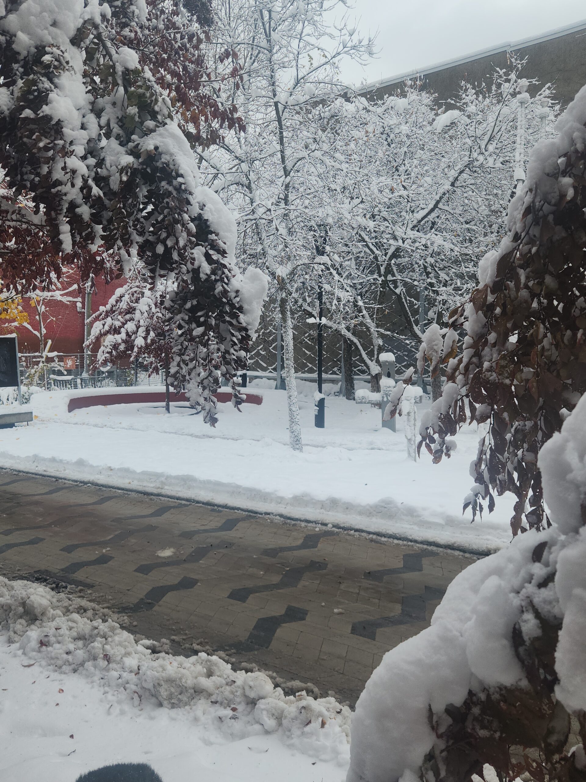 IMG_20251111_151110_091