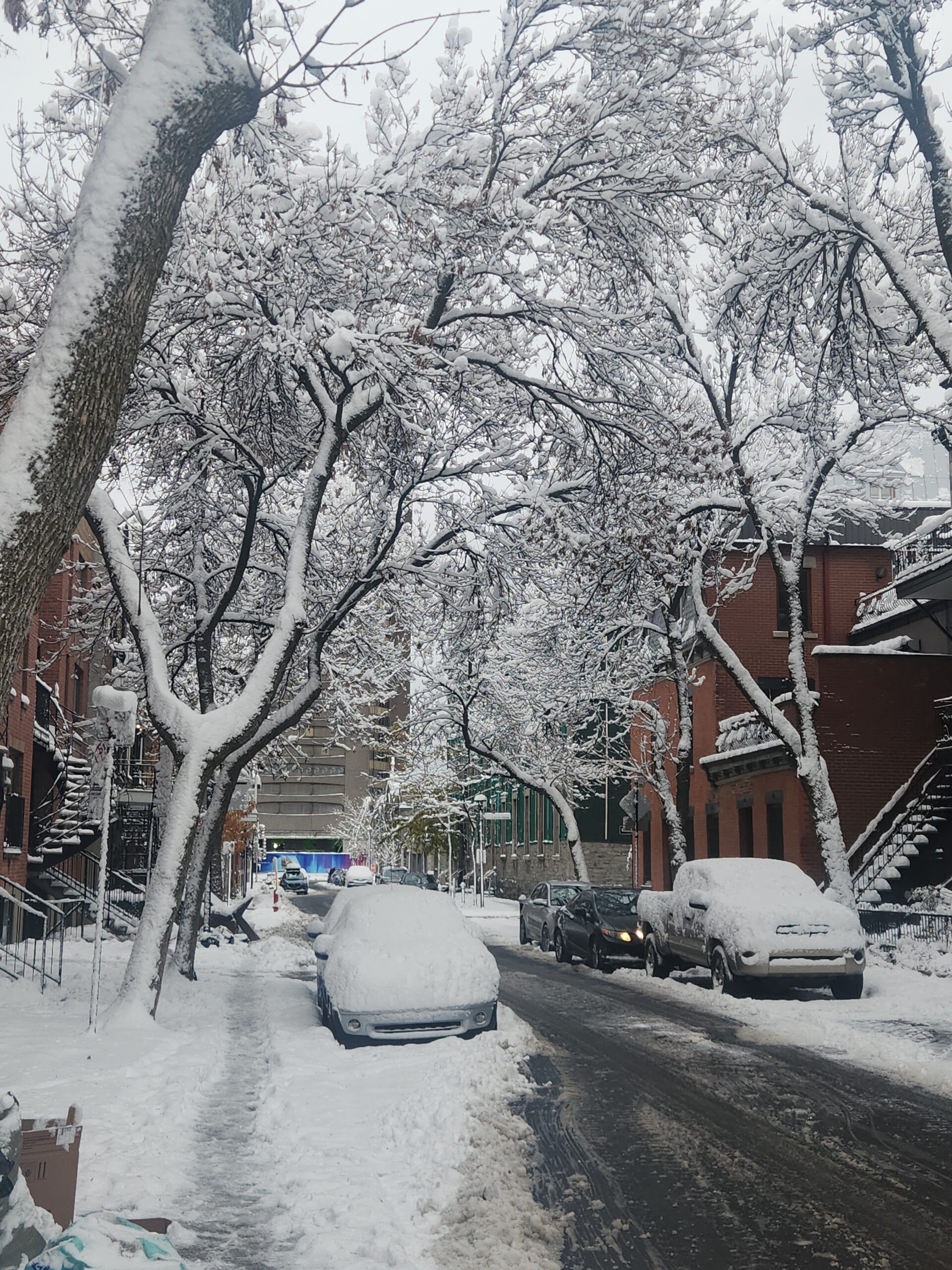 IMG_20251111_151303_015