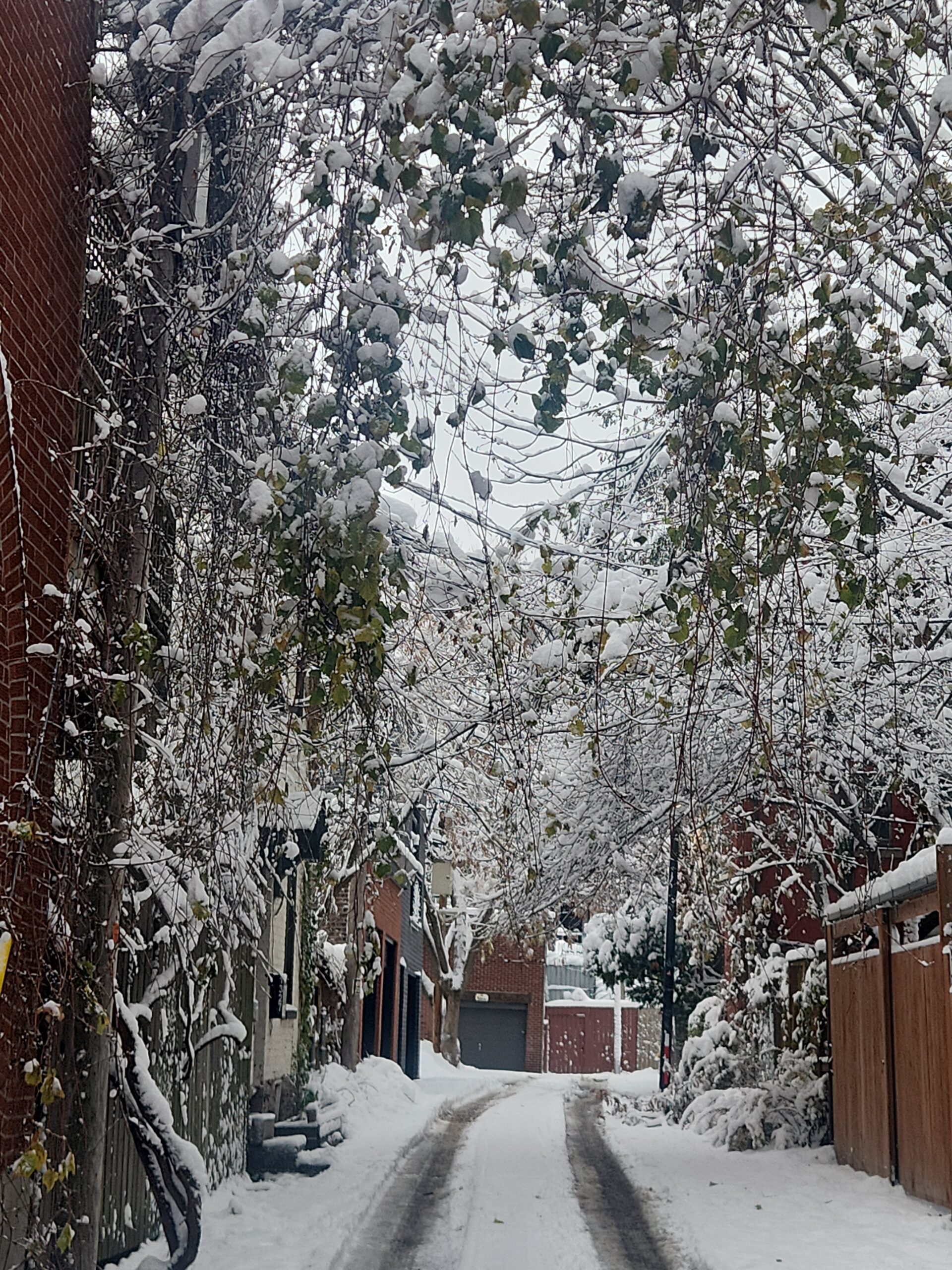 IMG_20251111_151548_112